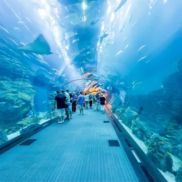 GCC retail consultancy services including Oman